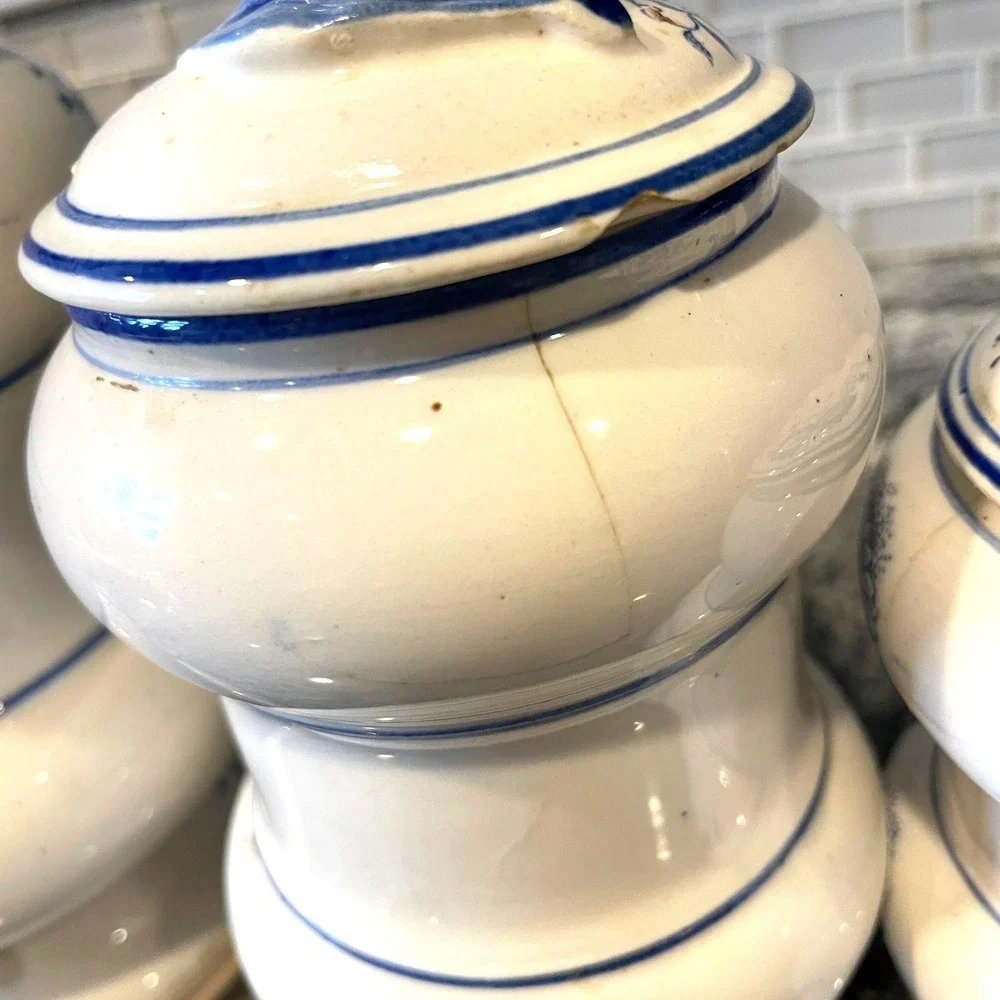 Vintage Blue White Onion Pattern Ceramic Canister Set Flour Sugar Coffee Tea